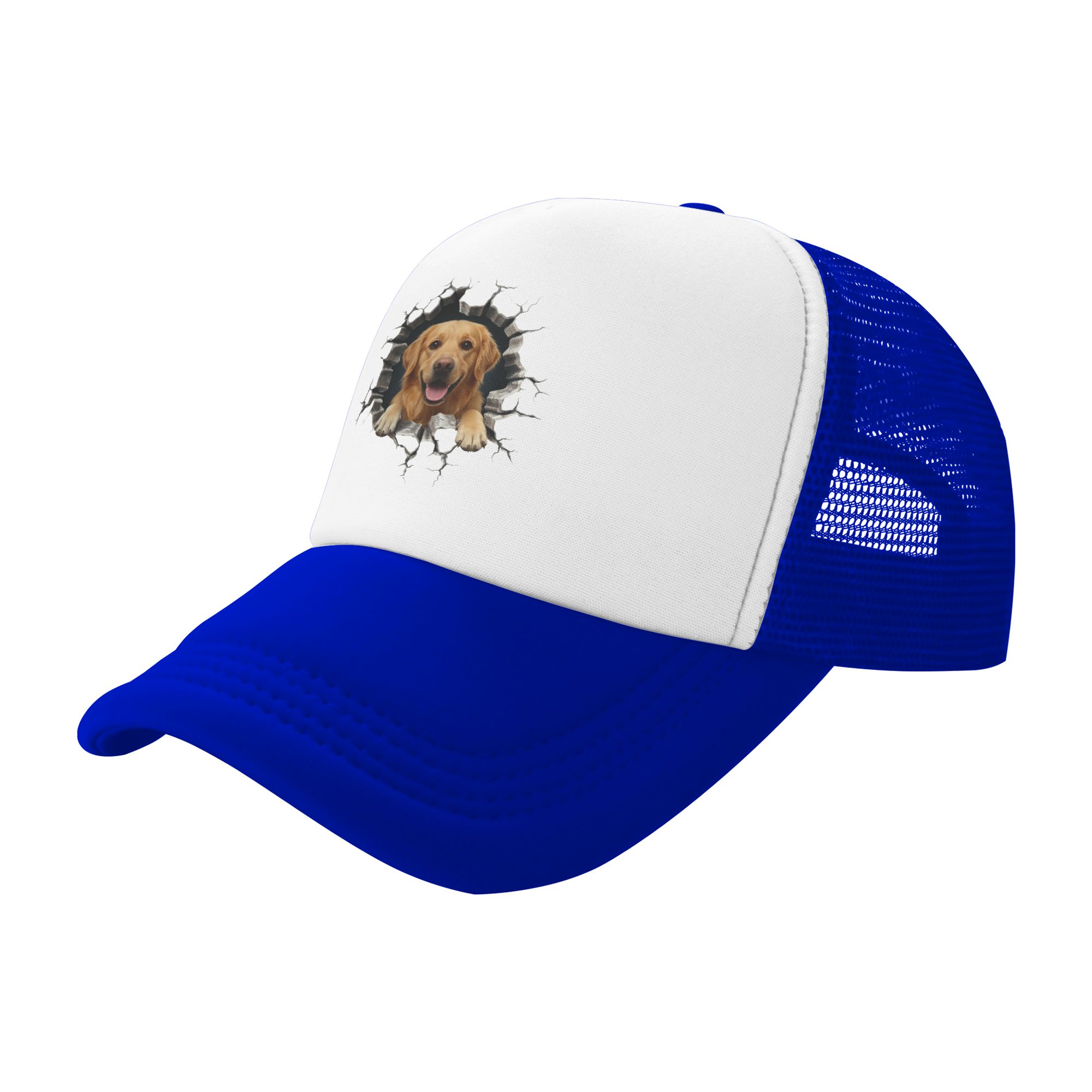 브레이킹 스루 골든 리트리버 야구 모자 여성 남성 맞춤 - Hat Snapback Cap 리뷰 및 가격
