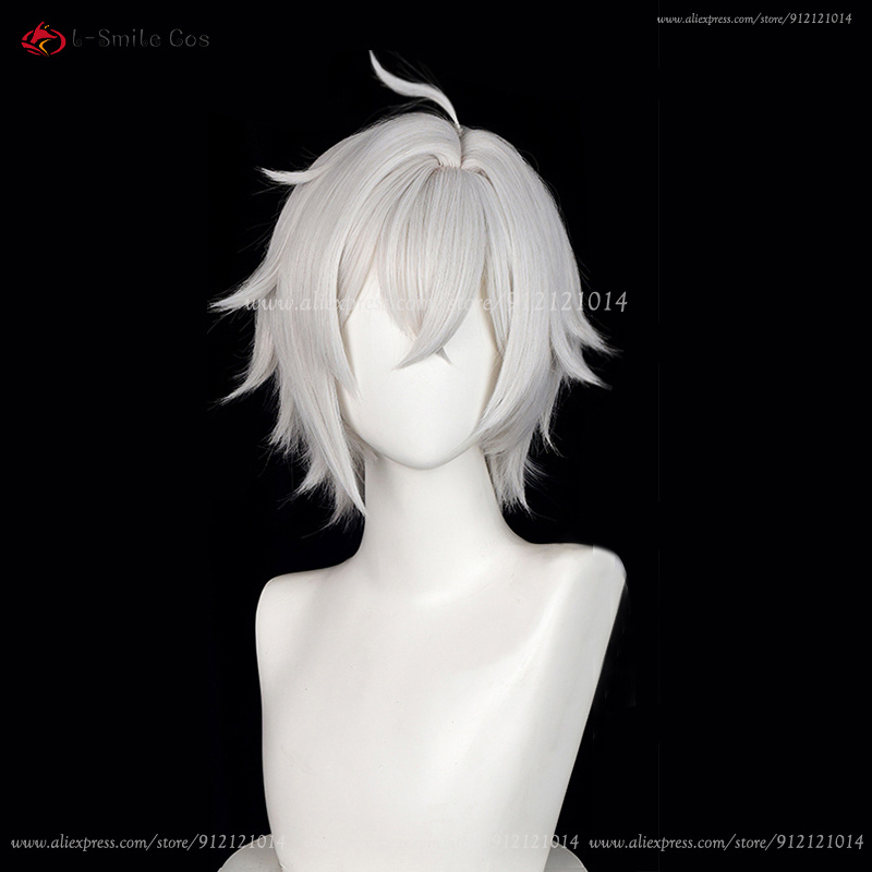 ZZZ 세스 로웰 코스프레 가발 30cm 실버 화이트  - Men Accessories Silver 리뷰 및 가격