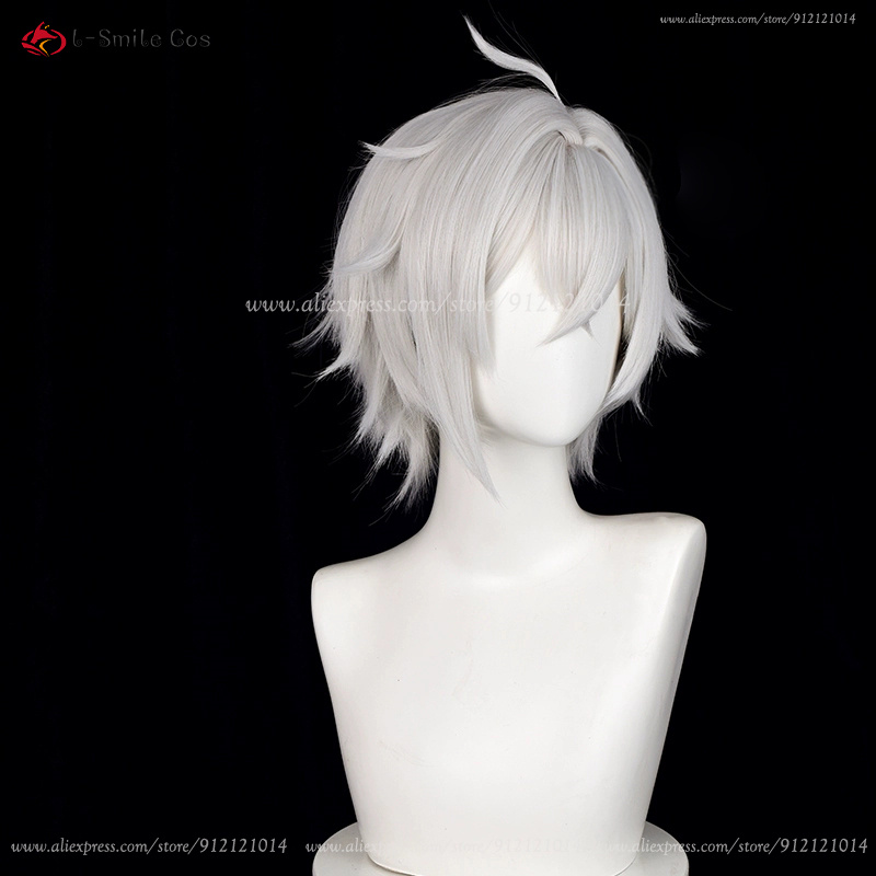 ZZZ 세스 로웰 코스프레 가발 30cm 실버 화이트  - Men Accessories Silver 리뷰 및 가격